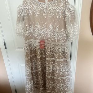 Sicily Dress With Flutter Sleeves In Champagne